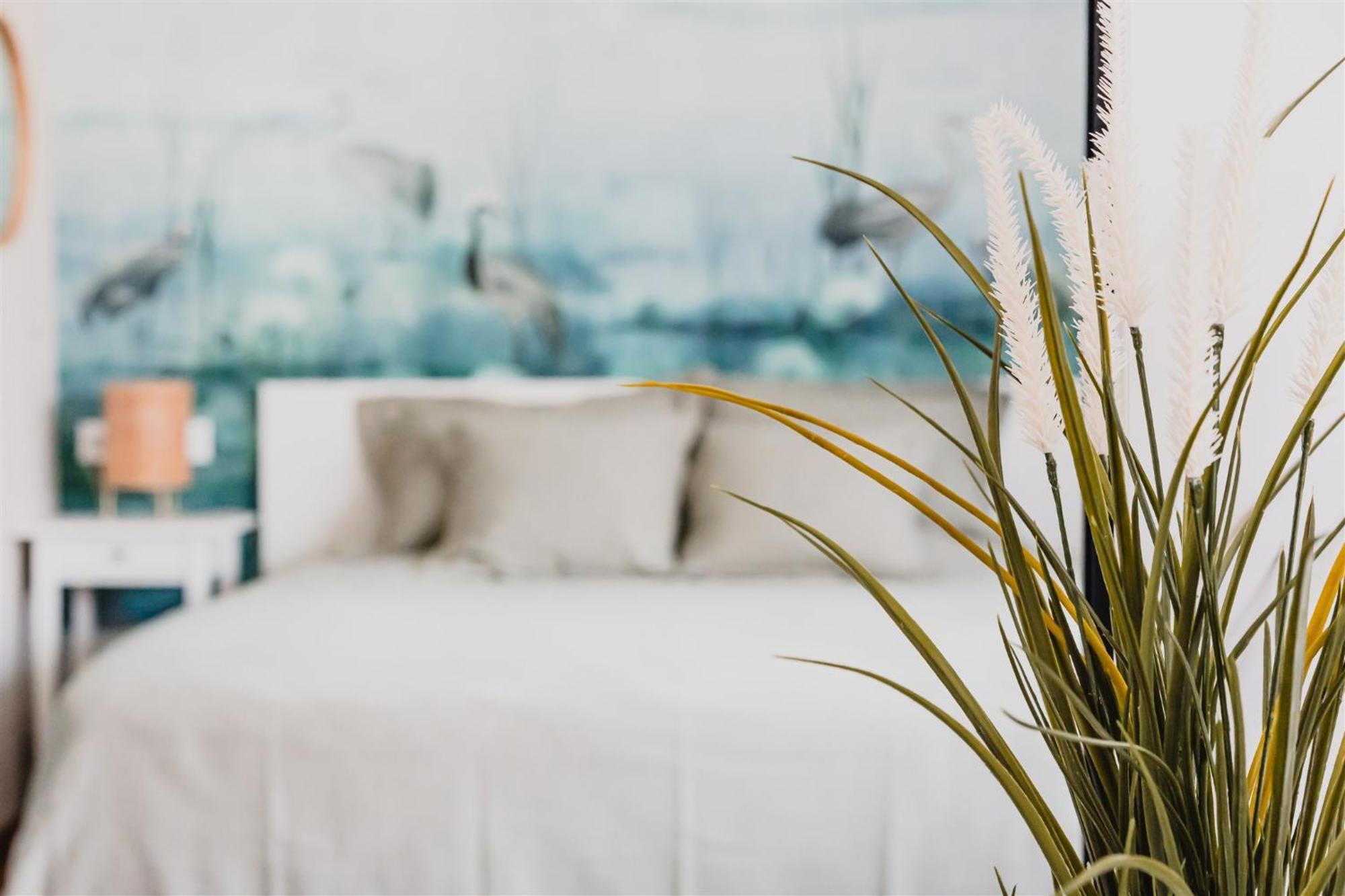 Butique Apartman Grand بالاتوليلّي المظهر الخارجي الصورة